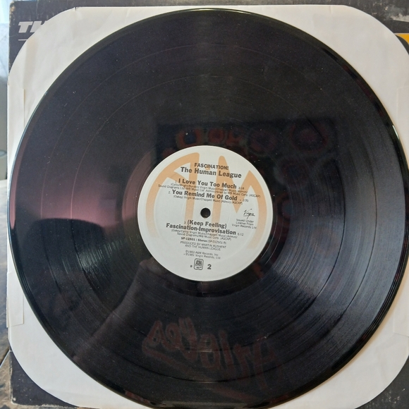 Collectible 1981 Human League Fascination - Picture 8 of 8